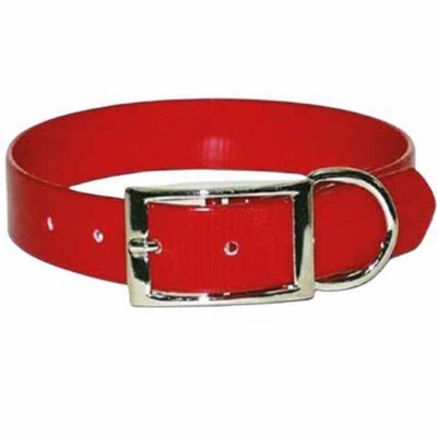 Sunglo Ring Next to Buckle 3/4 Inch Wide