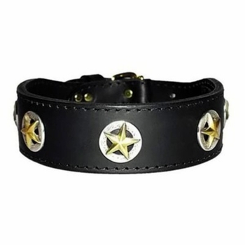 Texas Stars Leather Collar