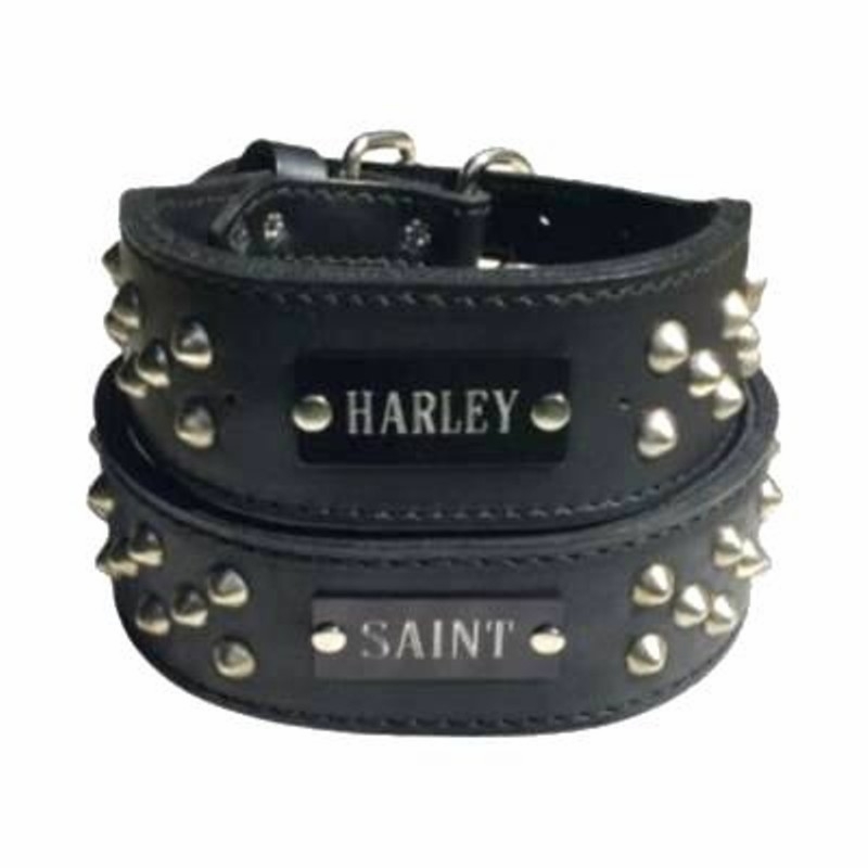  Wide Leather Collar with Studs and Name Plate