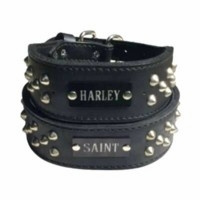  Wide Leather Collar with Studs and Name Plate