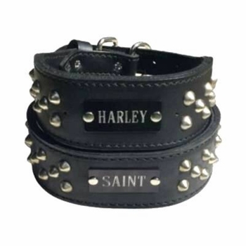  Wide Leather Collar with Studs and Name Plate
