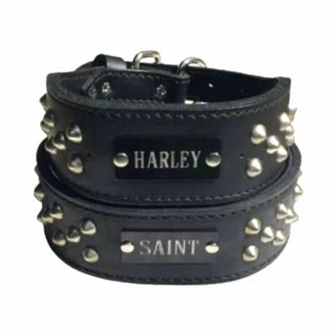  Wide Leather Collar with Studs and Name Plate