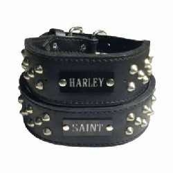  Wide Leather Collar with Studs and Name Plate