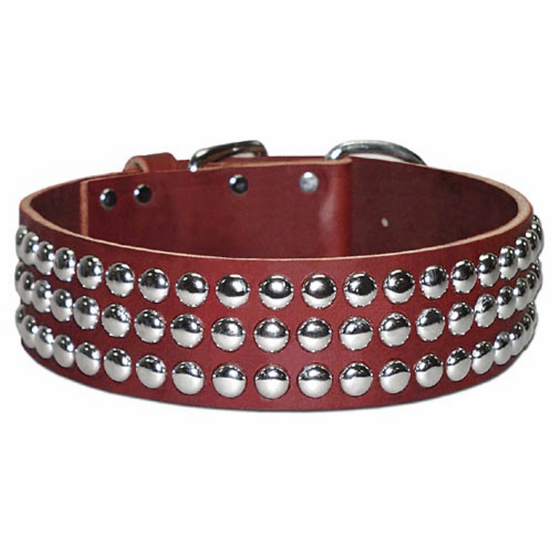 Wide Leather Dog Collar with Studs