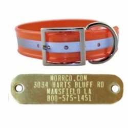 Wide Reflective SunGlo with Plate