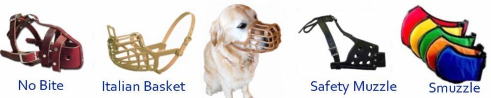 You Can Train Your Dog To Wear A Muzzle