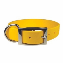 Zeta 1 inch wide Regular Dog Collars