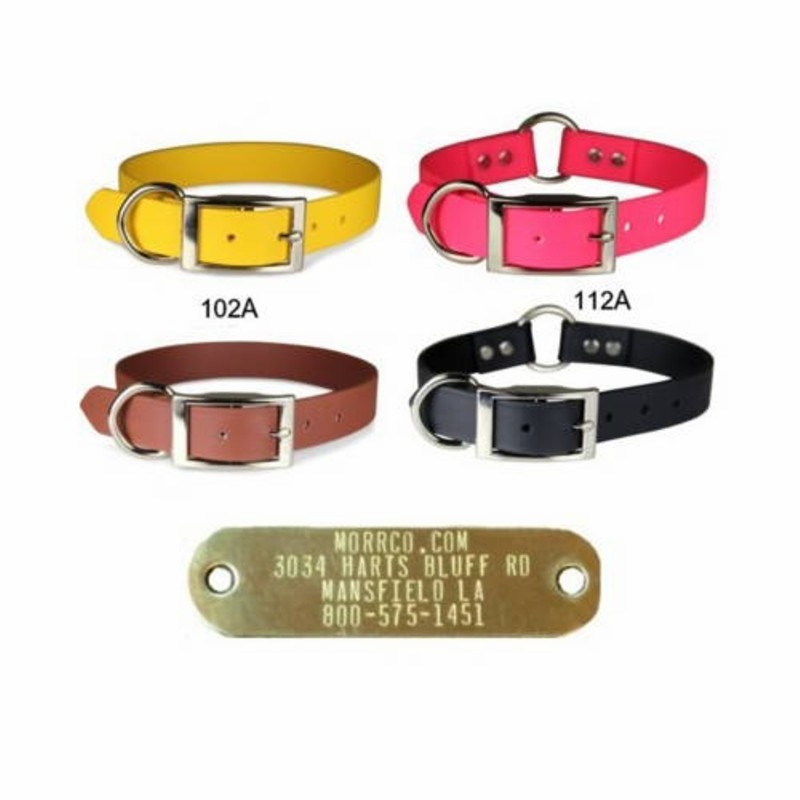 Zeta 3/4 in wide Dog Collars with ID Plate