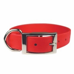 Zeta 3/4 inch wide Regular Collar
