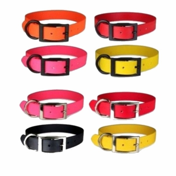 Zeta 3/4 inch wide Regular Collar