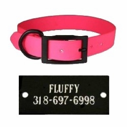 Zeta Dog Collar With Black Name Plate