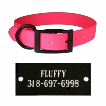 Zeta Dog Collar With Black Name Plate