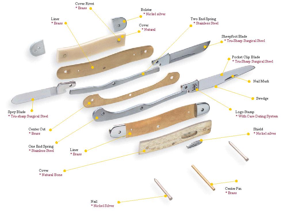 Anatomy of a Case Knife