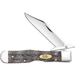 Black Curly Oak Cheetah Cub