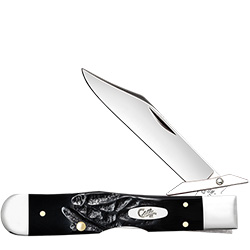 Rough Black Cheetah Cub