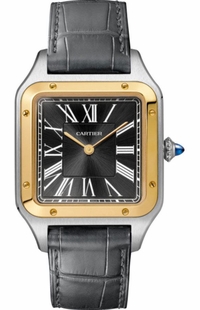 Cartier Santos Dumont Limited Edition Men's Watch W2SA0015