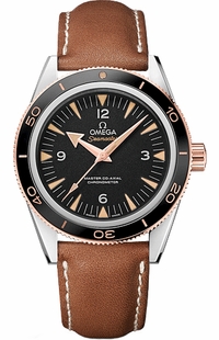 Omega Seamaster 233.22.41.21.01.002