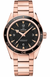 Omega Seamaster 233.60.41.21.01.001