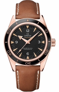 Omega Seamaster 233.62.41.21.01.002