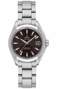 Omega Seamaster Aqua Terra 231.10.30.20.06.001