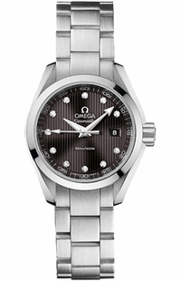 Omega Seamaster Aqua Terra 231.10.30.60.56.001