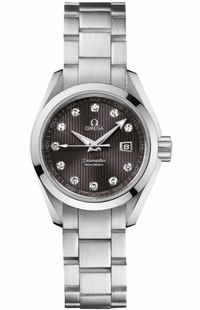 Omega Seamaster Aqua Terra 231.10.30.61.56.001