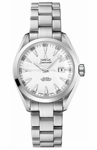 Omega Seamaster Aqua Terra 231.10.34.20.04.001