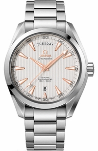 Omega Seamaster Aqua Terra  231.10.42.22.02.001