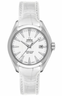 Omega Seamaster Aqua Terra 231.13.34.20.04.001