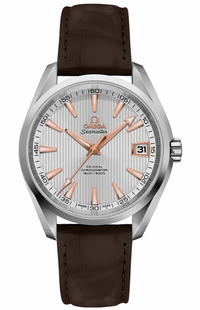 Omega Seamaster Aqua Terra 231.13.39.21.02.002