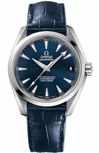 Omega Seamaster Aqua Terra 231.13.39.21.03.001