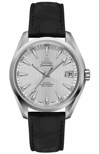 Omega Seamaster Aqua Terra 231.13.39.21.04.001