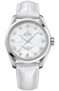 Omega Seamaster Aqua Terra 231.13.39.21.55.002