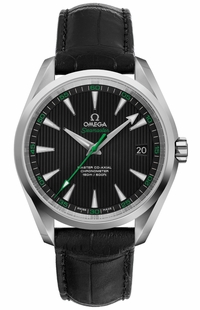 Omega Seamaster Aqua Terra 231.13.42.21.01.004