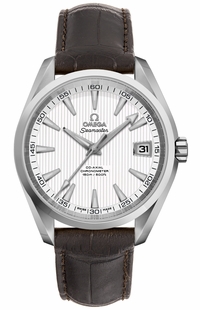 Omega Seamaster Aqua Terra 231.13.42.21.02.001