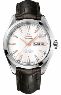 Omega Seamaster Aqua Terra 231.13.43.22.02.002
