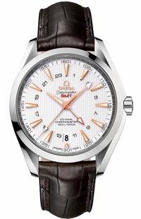 Omega Seamaster Aqua Terra 231.13.43.22.02.004