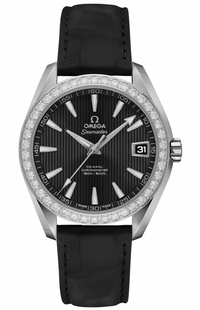 Omega Seamaster Aqua Terra 231.18.39.21.51.001