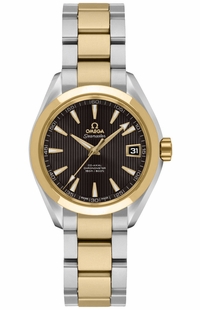 Omega Seamaster Aqua Terra 231.20.30.20.06.002