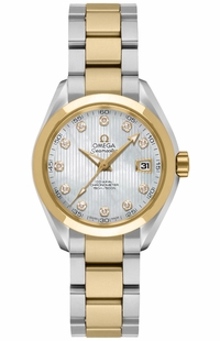 Omega Seamaster Aqua Terra 231.20.30.20.55.002