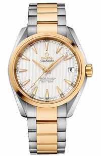 Omega Seamaster Aqua Terra 231.20.39.21.02.002