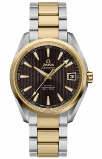 Omega Seamaster Aqua Terra 231.20.39.21.06.002