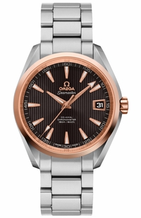 Omega Seamaster Aqua Terra 231.20.39.21.06.003