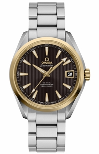 Omega Seamaster Aqua Terra 231.20.39.21.06.004