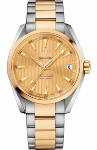 Omega Seamaster Aqua Terra 231.20.39.21.08.001
