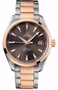 Omega Seamaster Aqua Terra 231.20.42.21.06.001