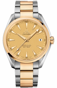 Omega Seamaster Aqua Terra 231.20.42.21.08.001