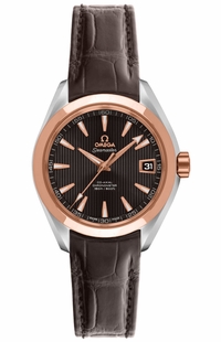 Omega Seamaster Aqua Terra 231.23.30.20.06.001