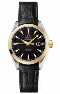 Omega Seamaster Aqua Terra 231.23.34.20.01.001