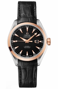 Omega Seamaster Aqua Terra 231.23.34.20.01.002